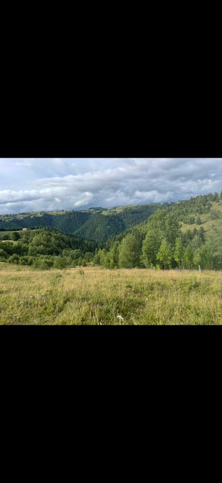 Teren parcelabil la munte în Măguri, Măguri-Răcătău,9185 mp,pt Cabana