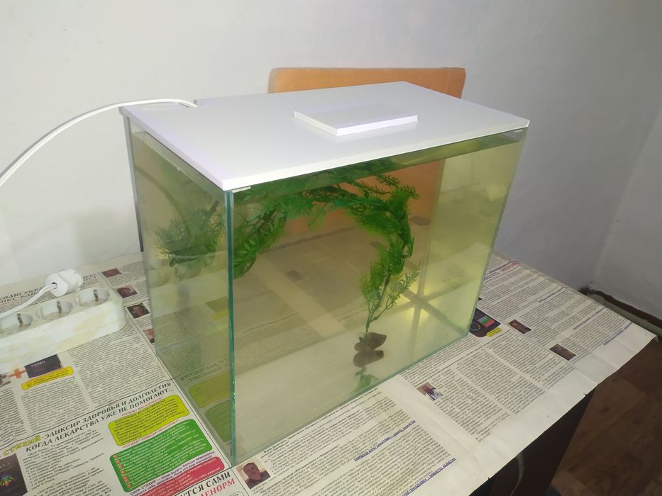 Аквариум новый + бонусы и рыбки.