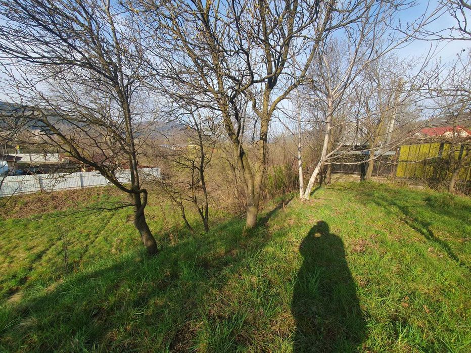 Teren(grădină) în Viișoara cu suprafața de 1800 m²