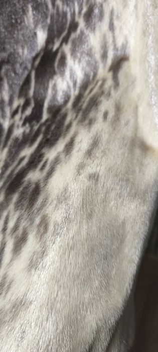 Vând blană naturală veritabilă, mărimea L.
Este autentică, de calitate