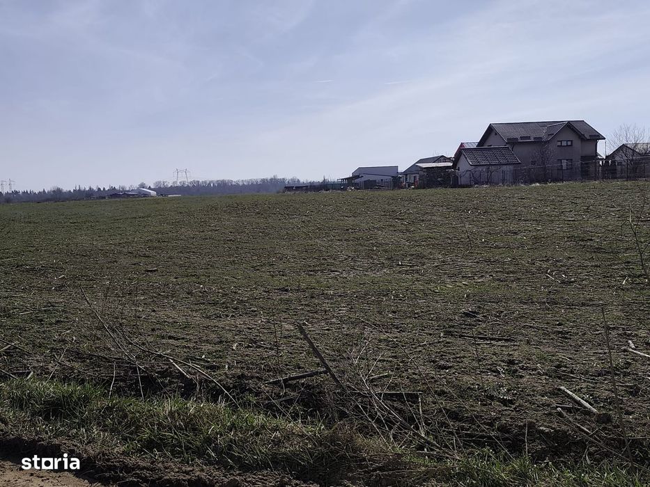 FARA COMISIOANE in Sabareni teren in suprafata de 23200mp gaze curent