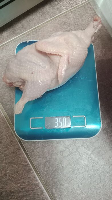 Мясо перепелиные