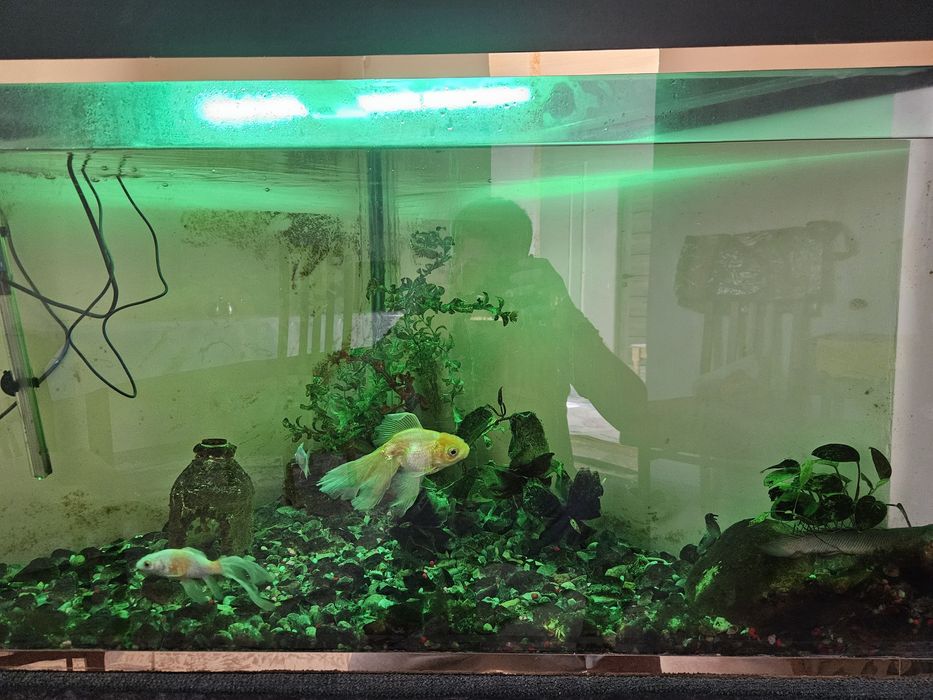 Аквариум 350 литр