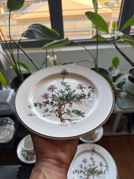 Villeroy & Boch Botanica