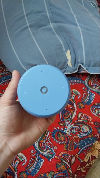 Алиса сатылады срочно