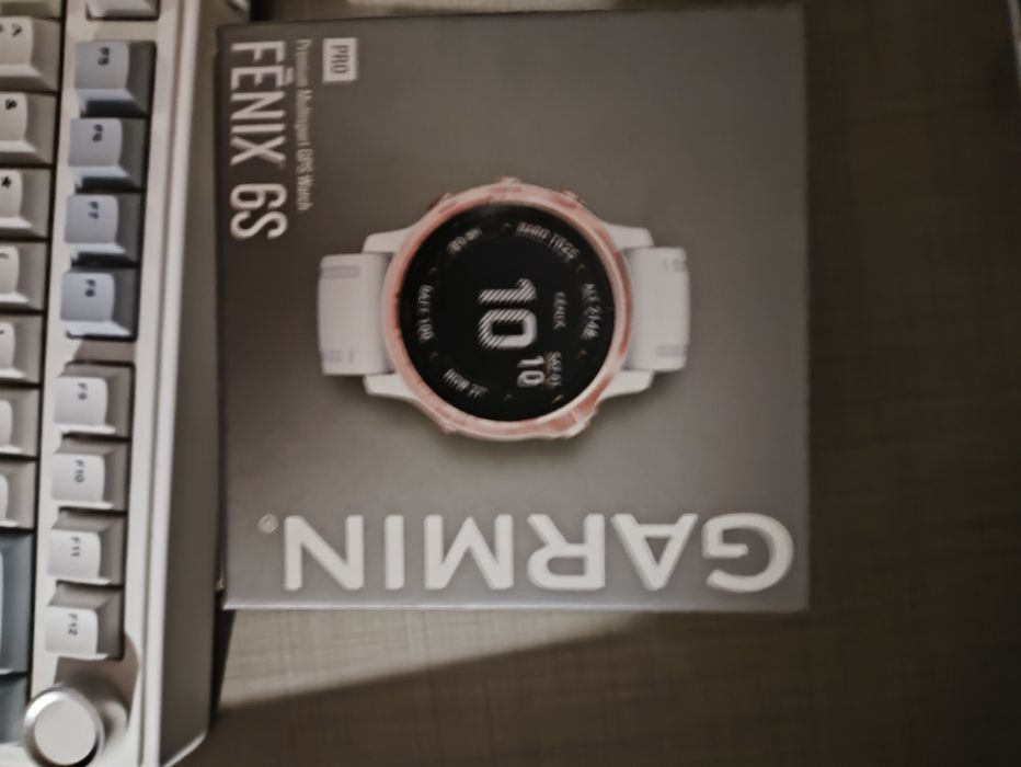 Garmin fenix 6s pro