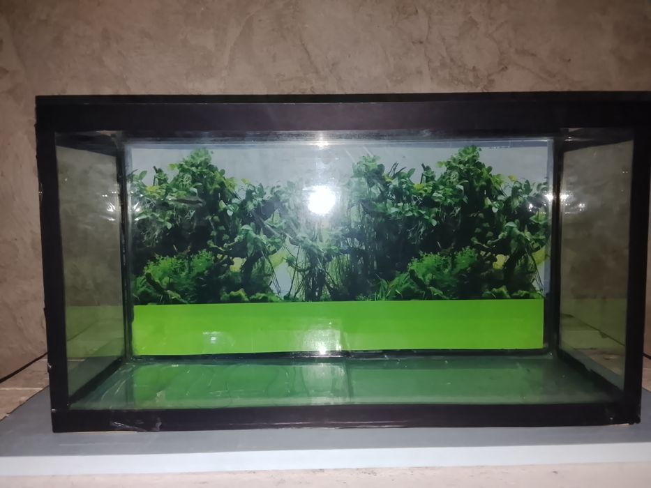 Akvariumlar sotiladi