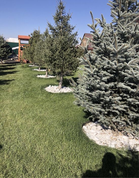 Ландшафтный дизайн