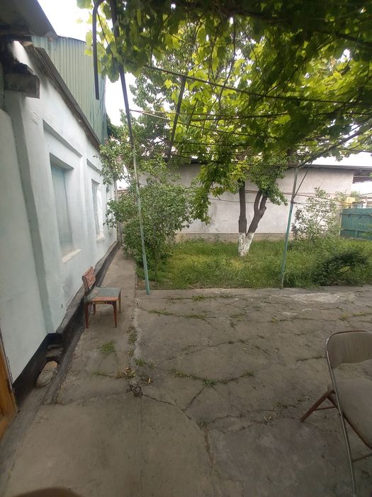 Сирдарйо Шахар Сентирдан бир куча кирганда Дасаф ку'ча