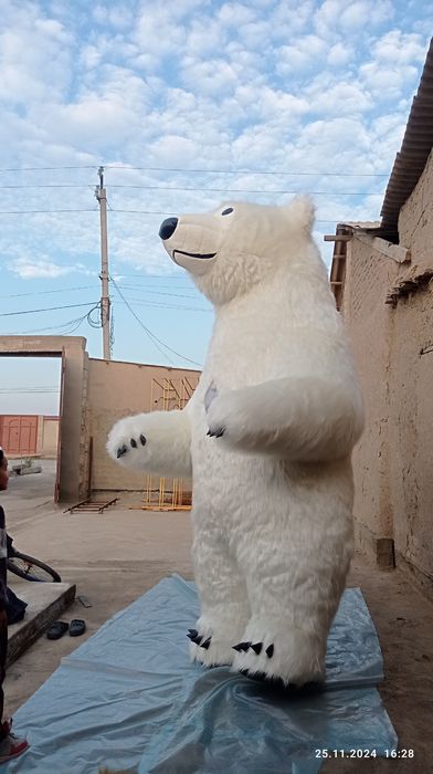 Qashqadaryo АЙИК лар ХИЗМАТИ aeq ayiq тугилган