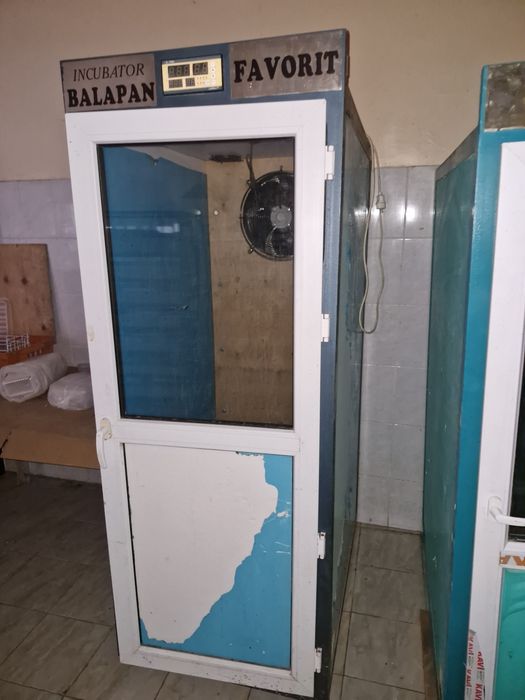 Инкубатор для яиц