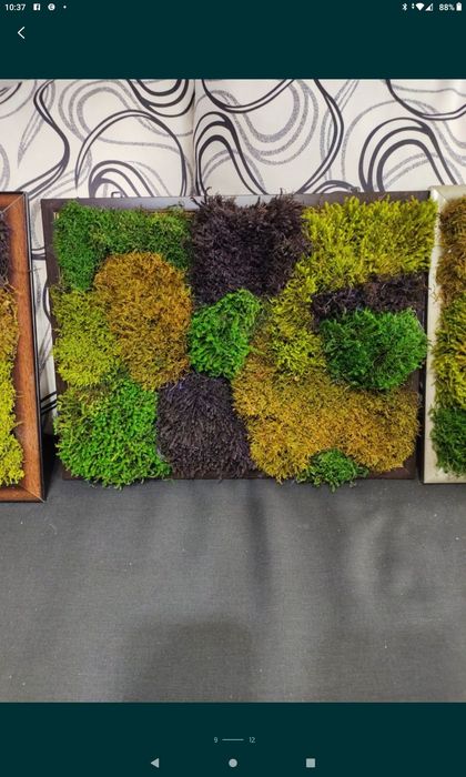 Фото картини и изделия стабилизира мъх