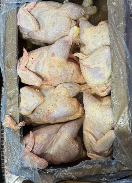 Тушки ЦБ /Окорочка с костью