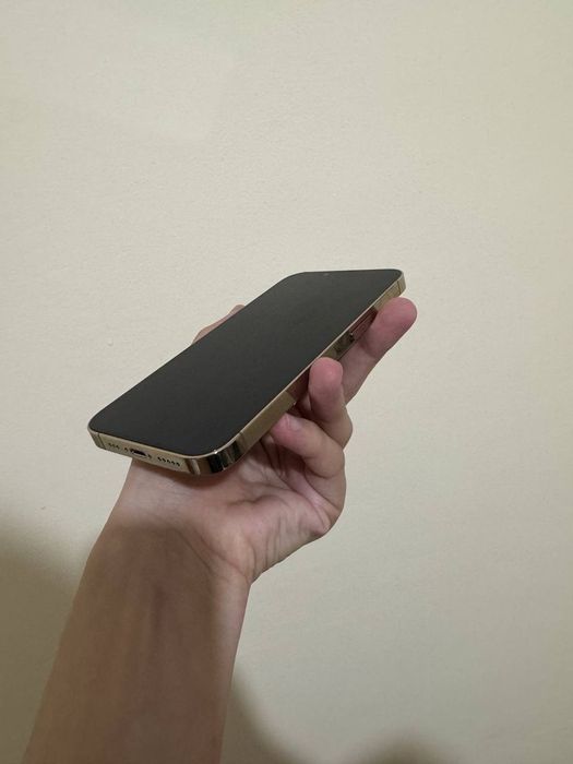Iphone 13 pro gold ideal