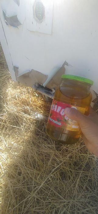 Asali Arginali 100% toza asalga javob toza dexqonchili