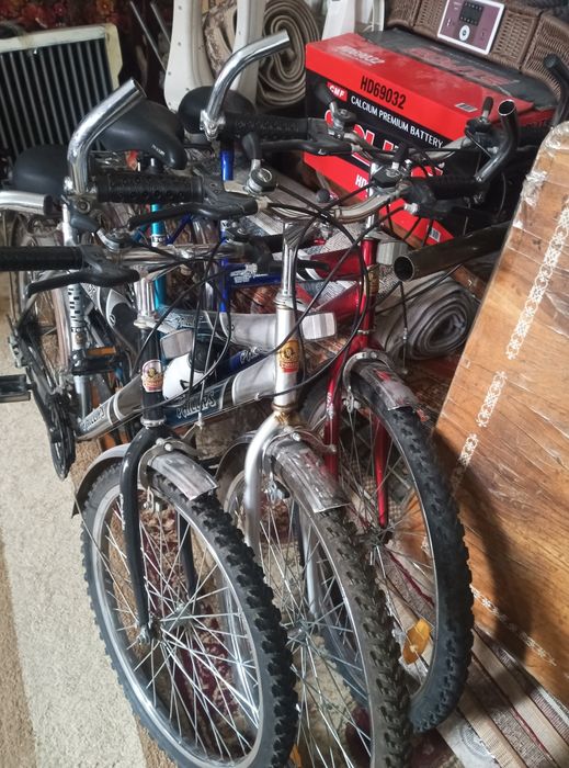 Phillips velosiped sotiladi