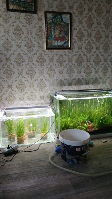 Новый аквариум с рыбками