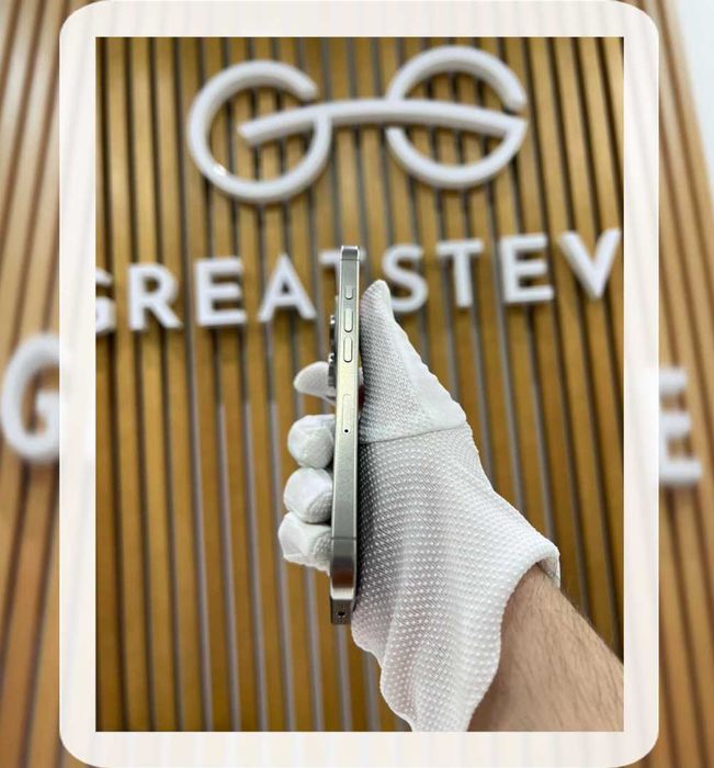 iPhone 16 Pro 256Gb Natural Titanium (2217)