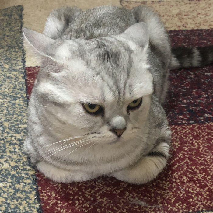 Срочно вязка вязка