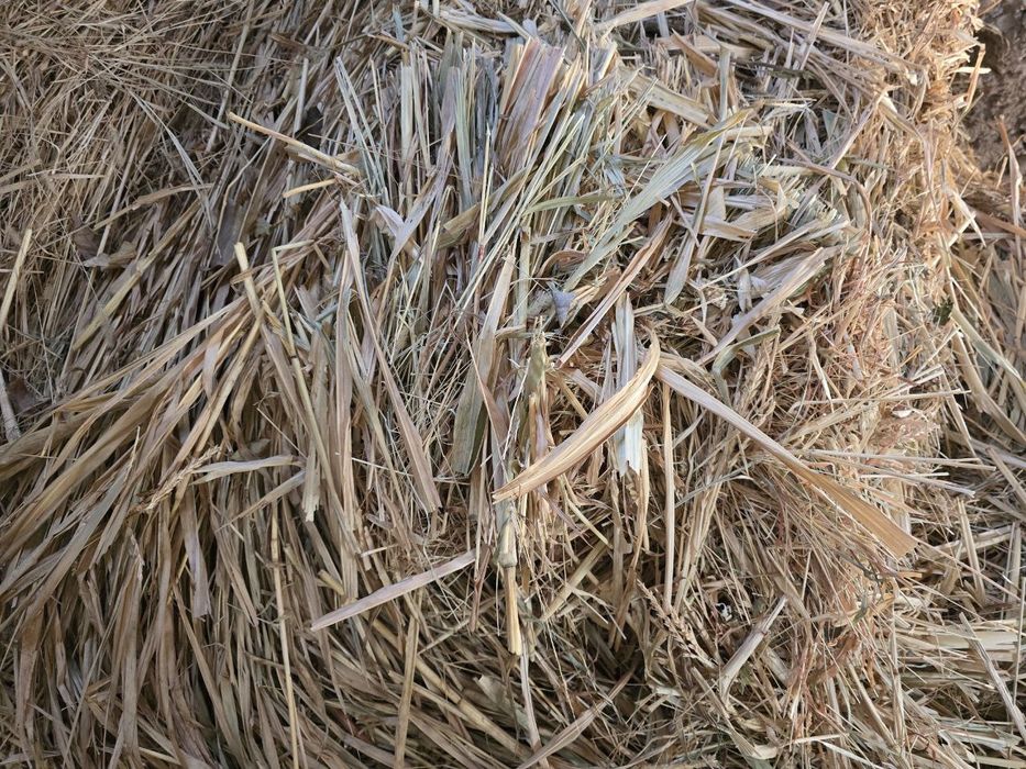 Somon joxari beda aralash sotiladi