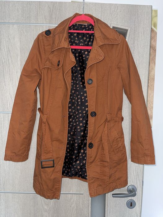 Trenci maroniu damă!