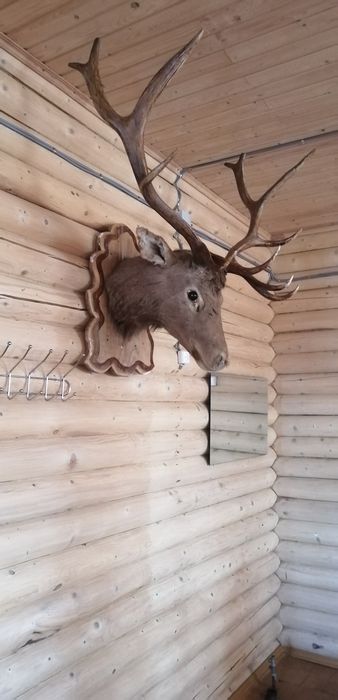Продажа столового помещения