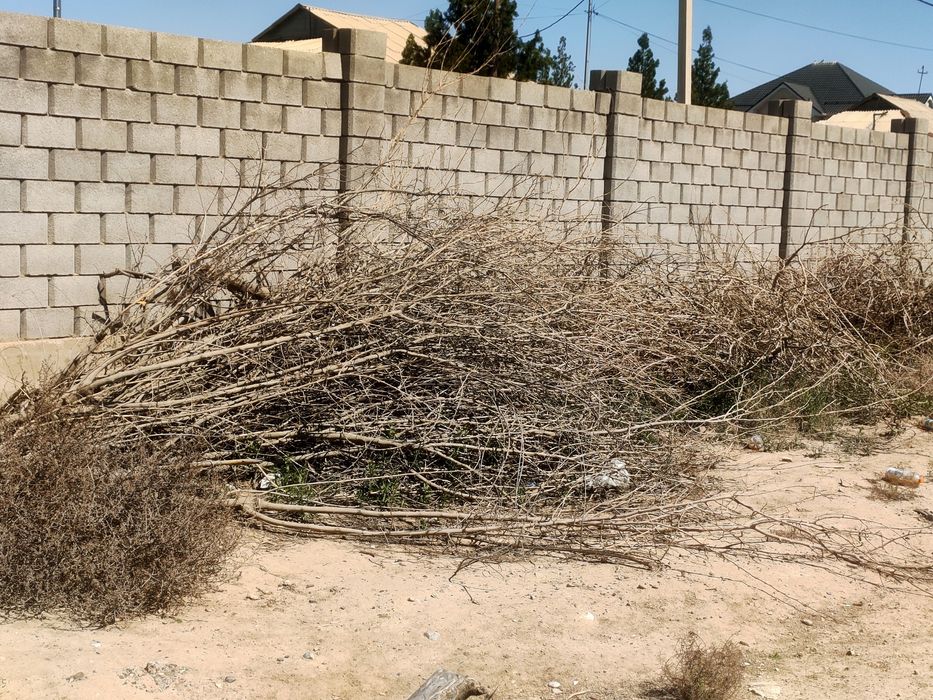 Агаш ,отын ,дерева