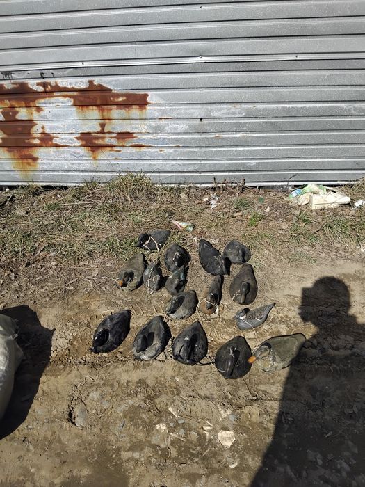 Продам чучело для охоты