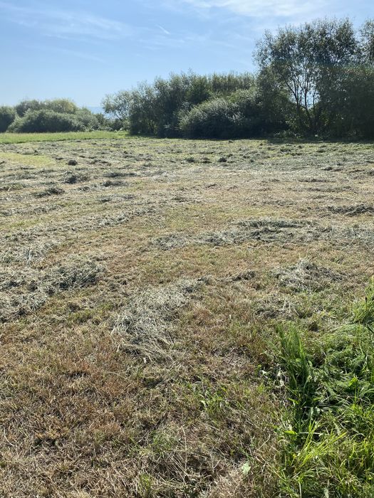 Baloti otava si lucerna