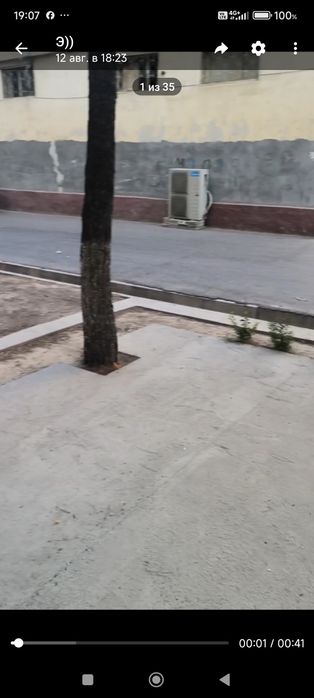 Квартира на первом этаже