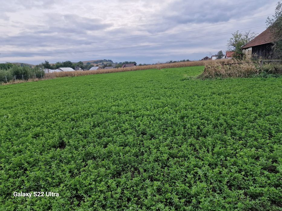 Vand teren intravilan 3500mp,sat Costana, com Todiresti