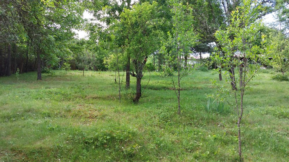 Продава се Парцел в с. Егълница, Област Перник - 1187 кв.м за 27 €/кв.м - Снимка #8