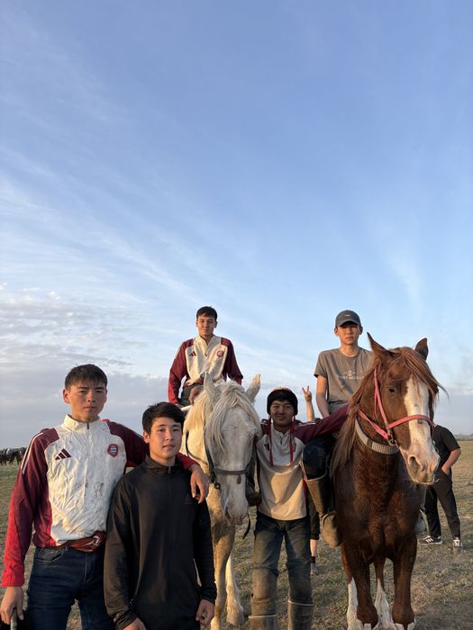 Алдыңғы көкпар ат