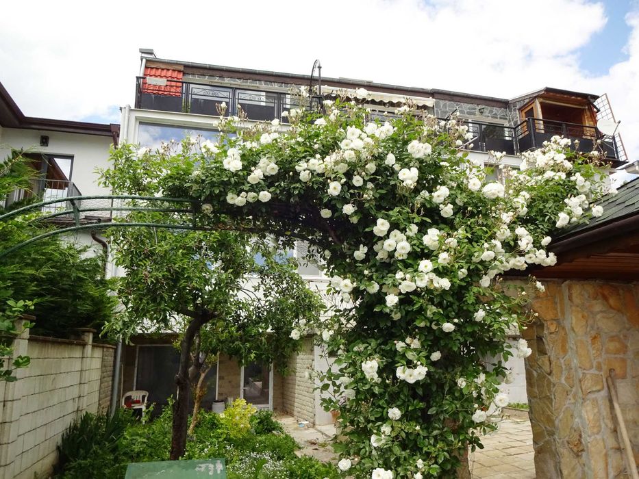 Продава се Къща в Варна, м-т Евксиноград - 580 кв.м за 1190 €/кв.м - Снимка #16