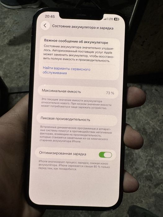 iphone 12 pro max 256 tali