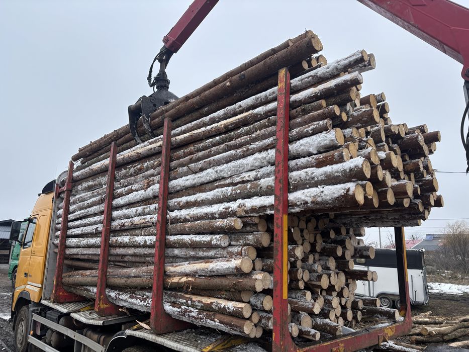 Capriori bile rotunzi pentru constructii