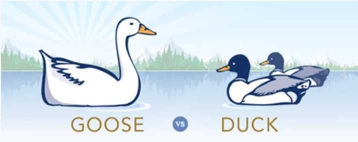 Puf de rata 90%. Pene de rata 10%. Pt. perna, pilota, canapea, geaca..