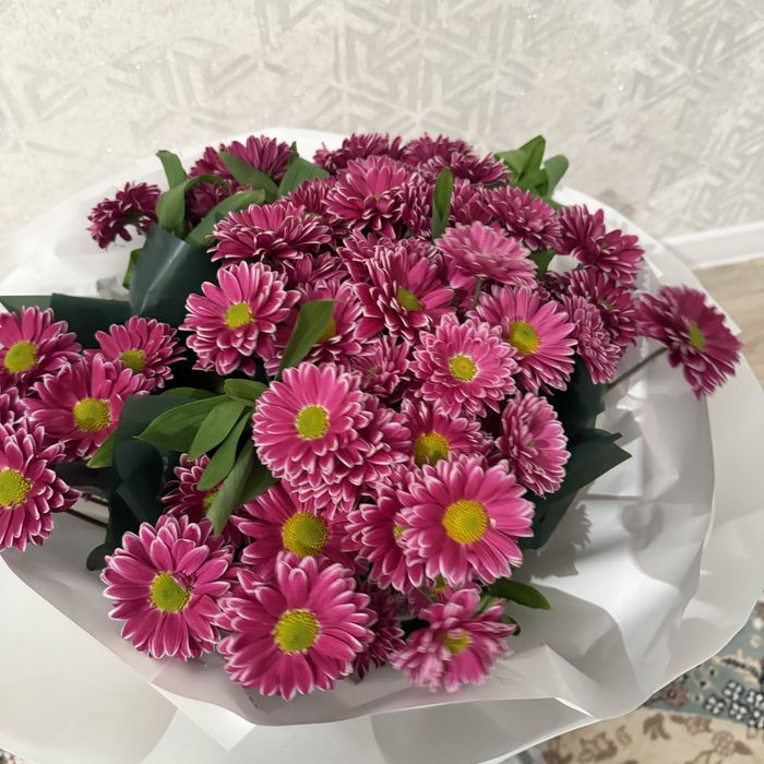 Гүл әдеми цветы гүл