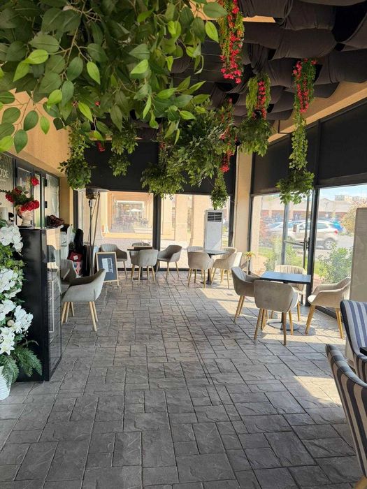 Vanzare/asociere restaurant Cosmopolis