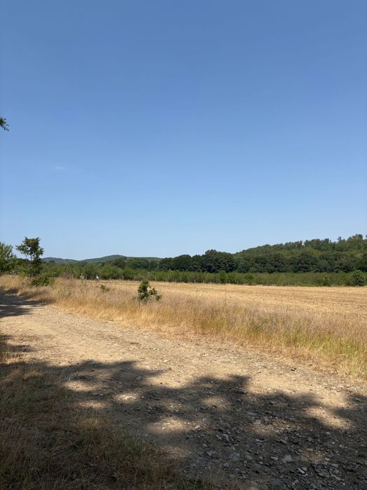 Продава се Земеделски имот в с. Солник, Област Варна -  кв.м за 544 €/дка - Снимка #1