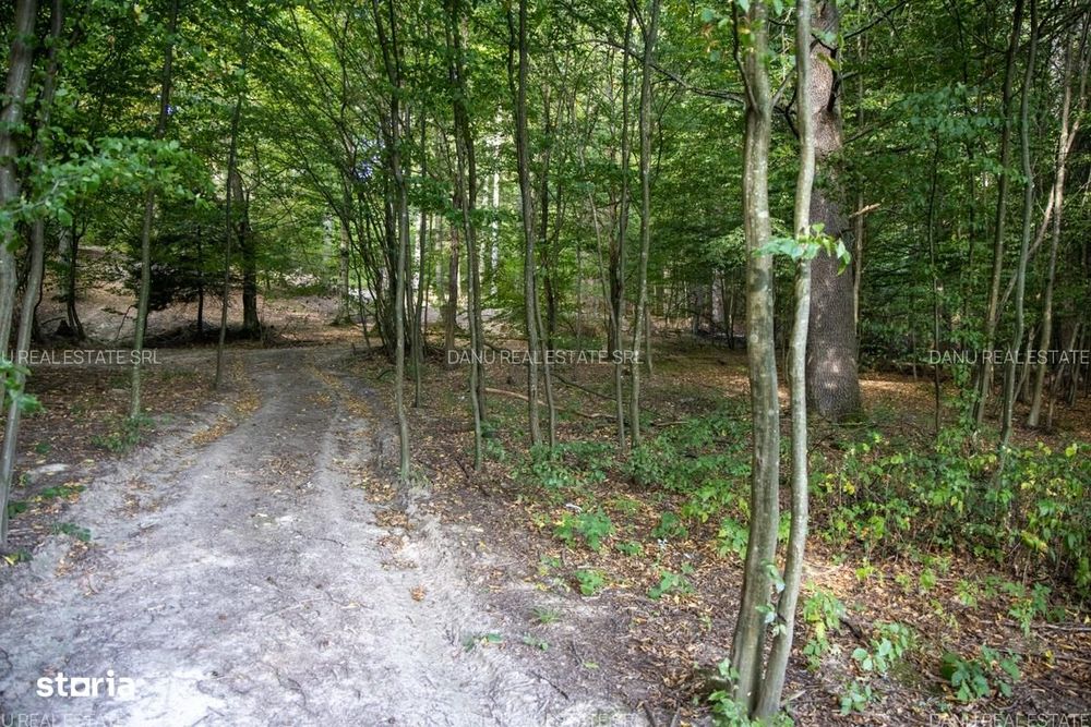 Teren intravilan 3.300 mp cu vedere către lac – Vulcan, zona lacurilor
