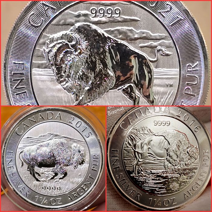 Canada Royal Canadian Mint monede lingou argint 999