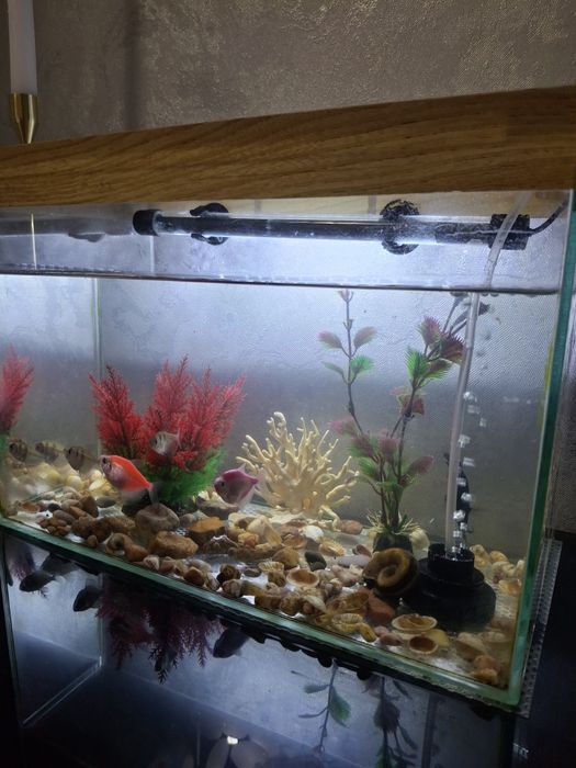 Аквариум продаю в хорошем состоянии