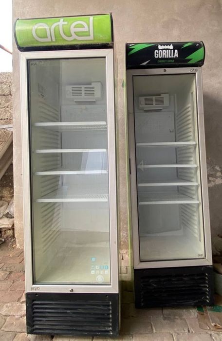 2 ta ARTEL holodilnik bor