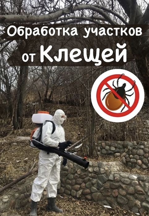 Опрыскивание от клещей