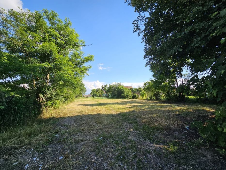 De vanzare: Teren Intravilan 1.251 mp în Rotbav (Brașov)