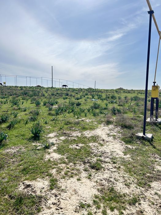 Участок Кайнар булакта