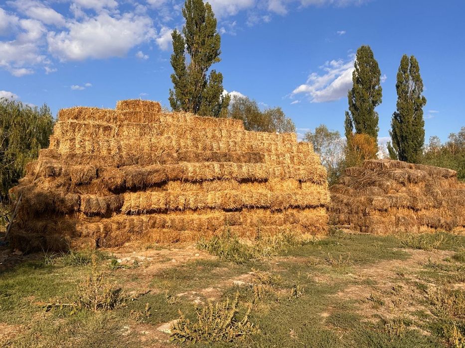 Baloti de Lucerna, Paie, Fan