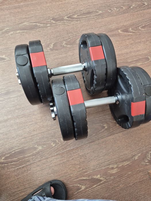 Gantere, 12.5 kg fiecare