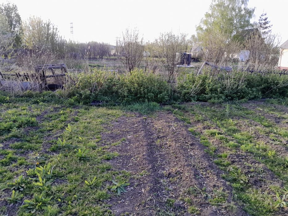 Продается дачный участок.